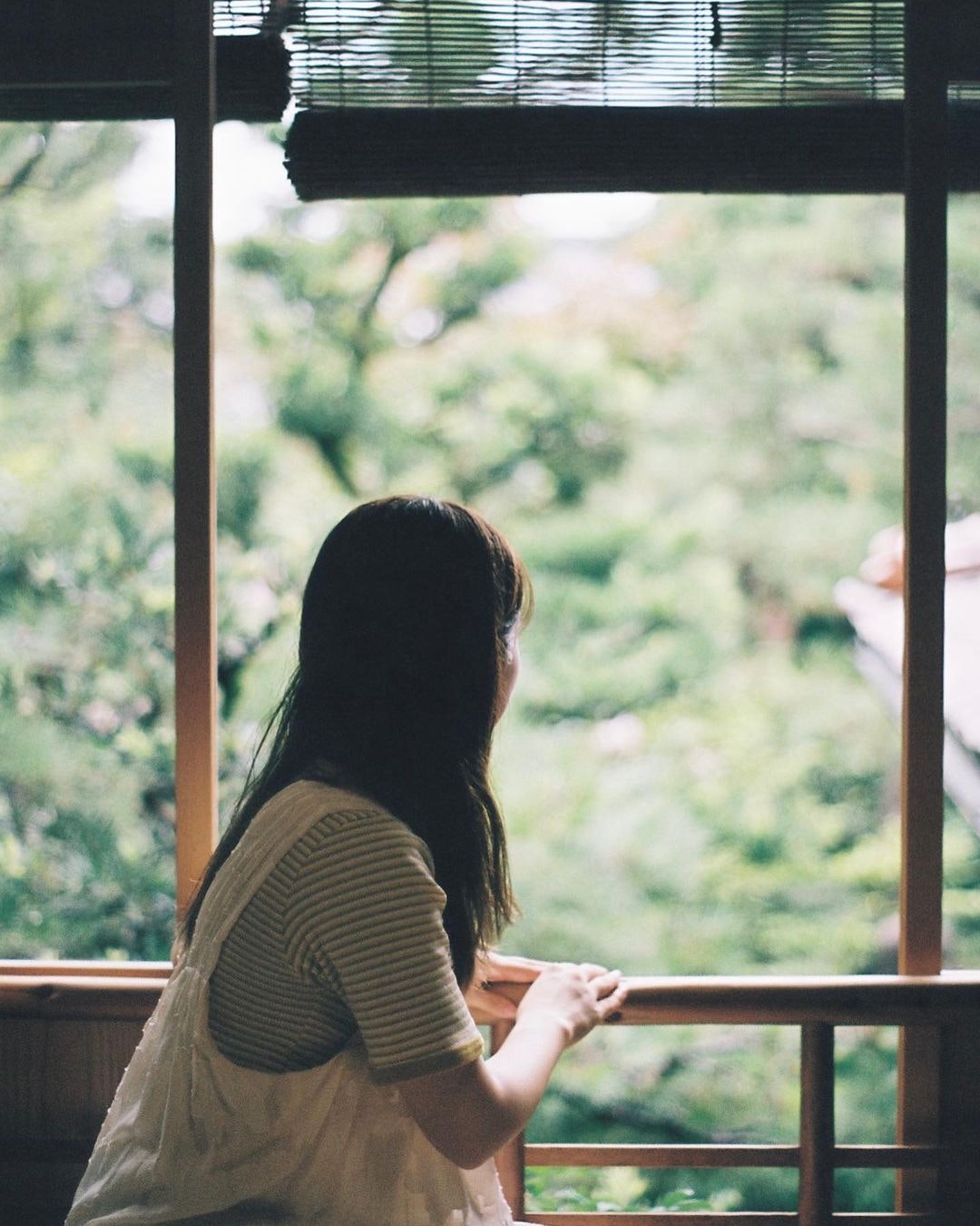 世界で400万台売れた「PENTAX SP」を徹底解説。作例からおすすめレンズ