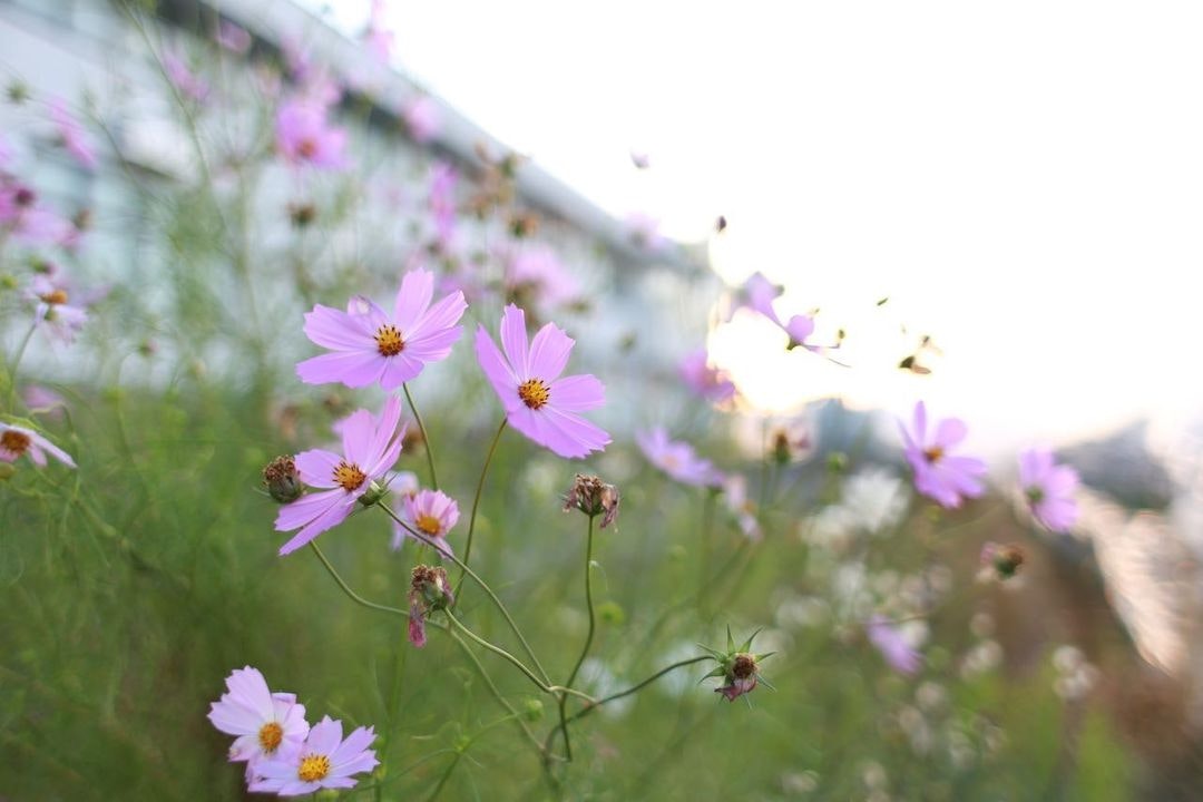 Canon EF28mm F1.8 USMを徹底解説。作例からレビューまで | ONE SCENE