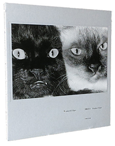 深瀬昌久： Wonderful Days