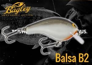 バグリー/バルサB1 - HONEYSPOT