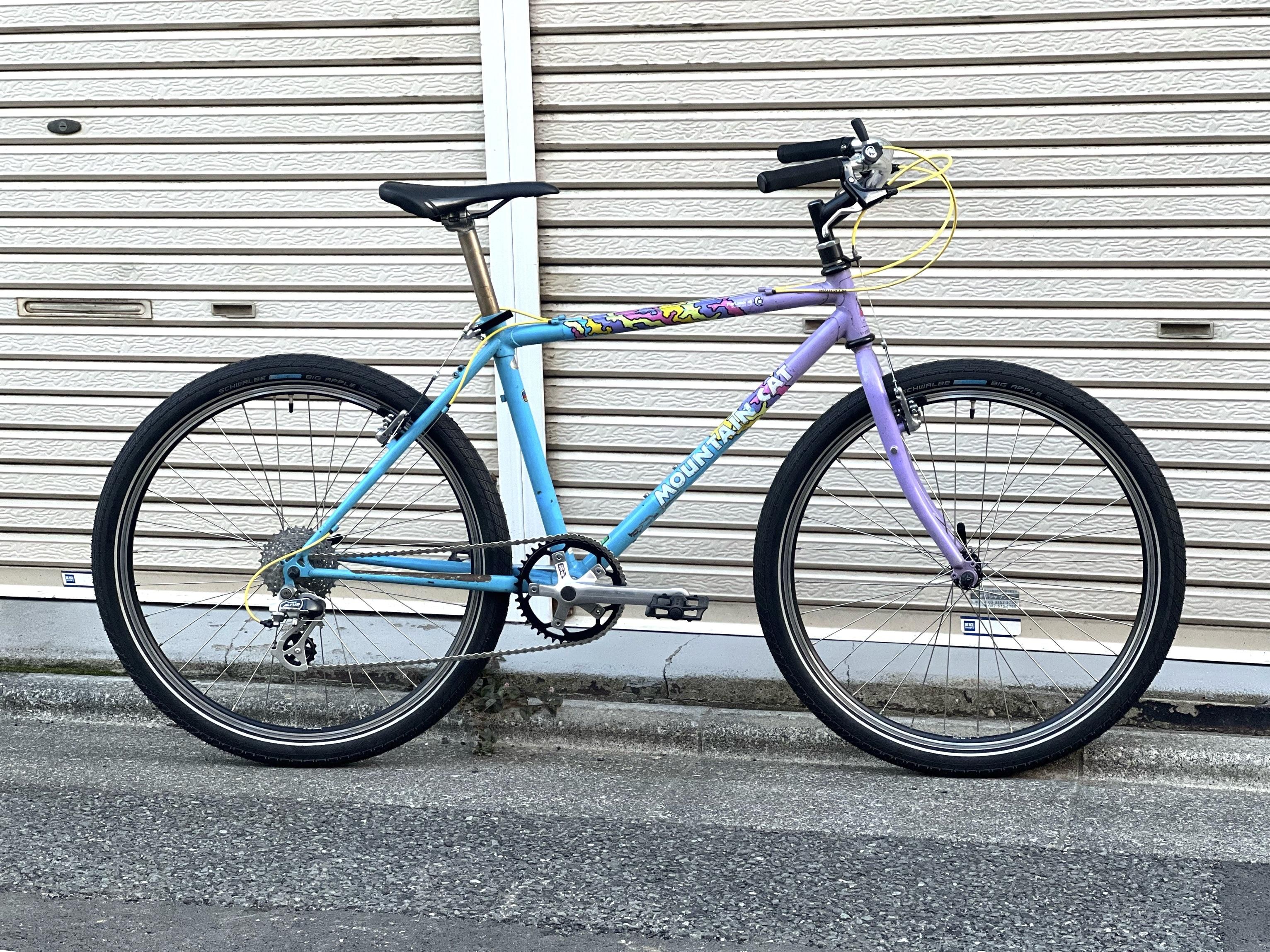 Panasonic Mountain Cat G