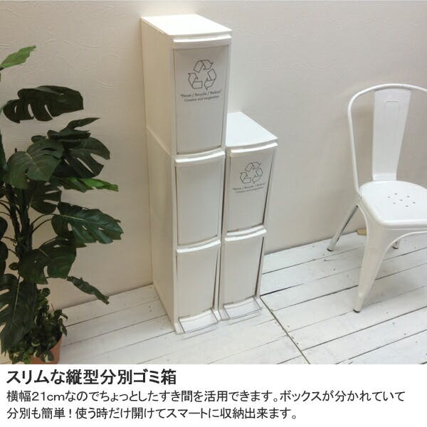 分別 スリムダストボックス 2分別 20L スリム ごみ箱 LFS-932WH 東谷
