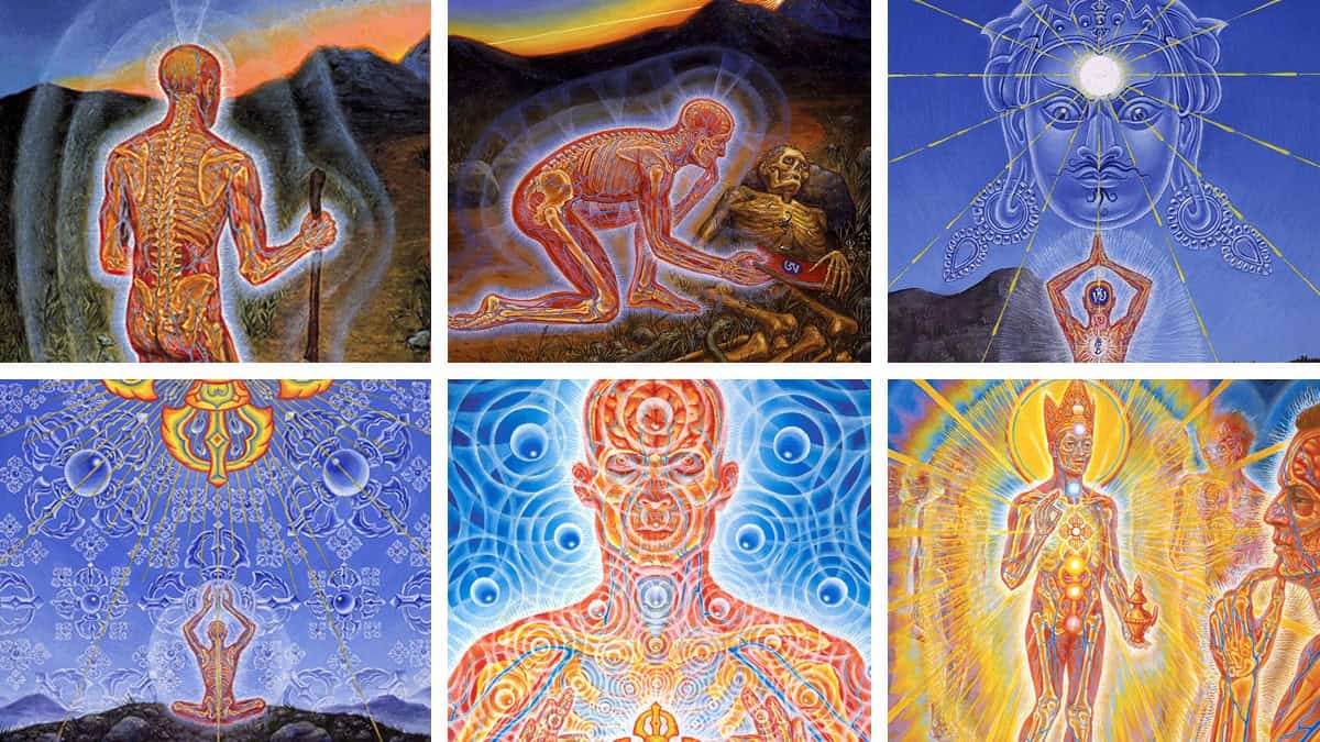 Alex Grey, Author at Integral Life