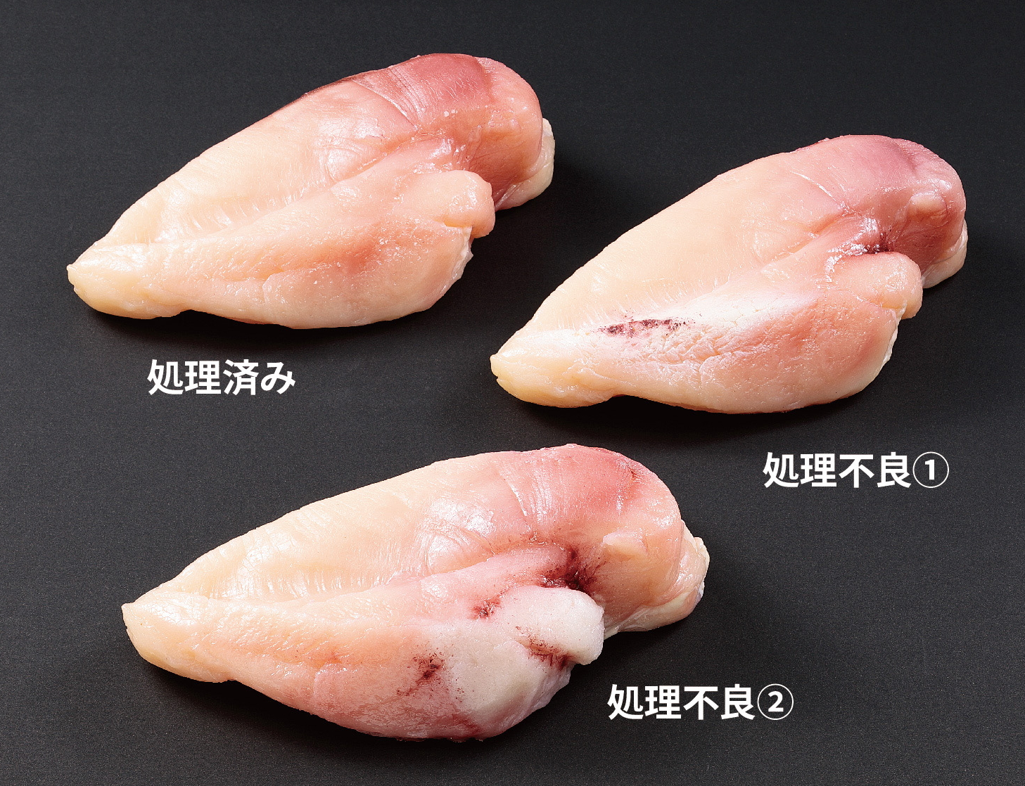 イワサキ・ビーアイ （商号：㈱岩崎）｜DIGITAL展示会 食品工場 THE