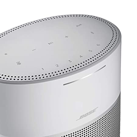 Bose Home Speaker 300 Silver - Initiative