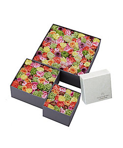 プリザーブドフラワーボックス（ピンク） | Nicolai Bergmann Flowers