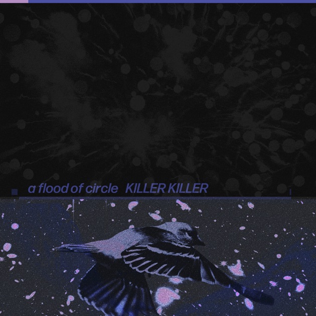 夜空に架かる虹 - a flood of circleのアルバム - Apple Music