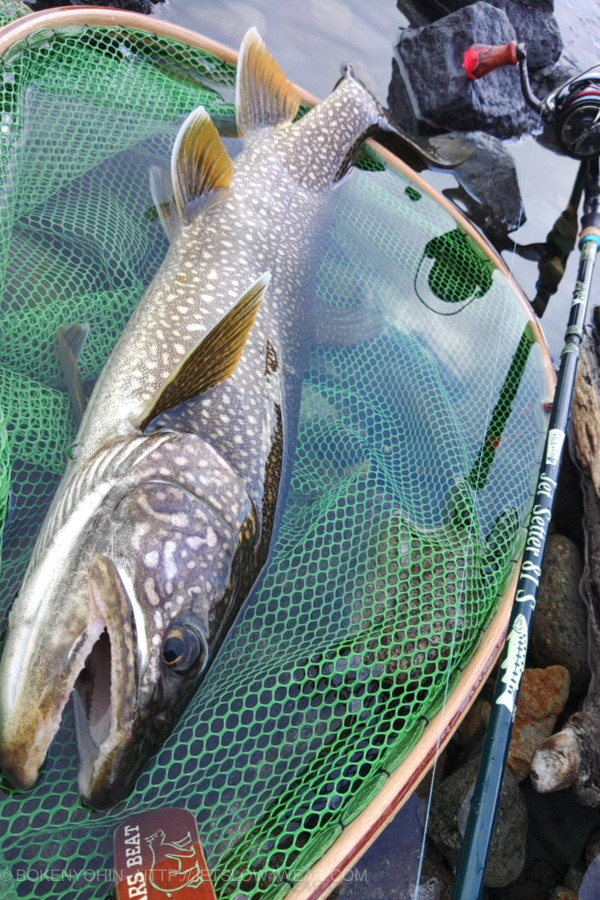 Jet Setter 81S ROCA 2025「冒険用品」