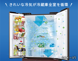 特長 | SJ-GW36D | 冷蔵庫トップ：シャープ