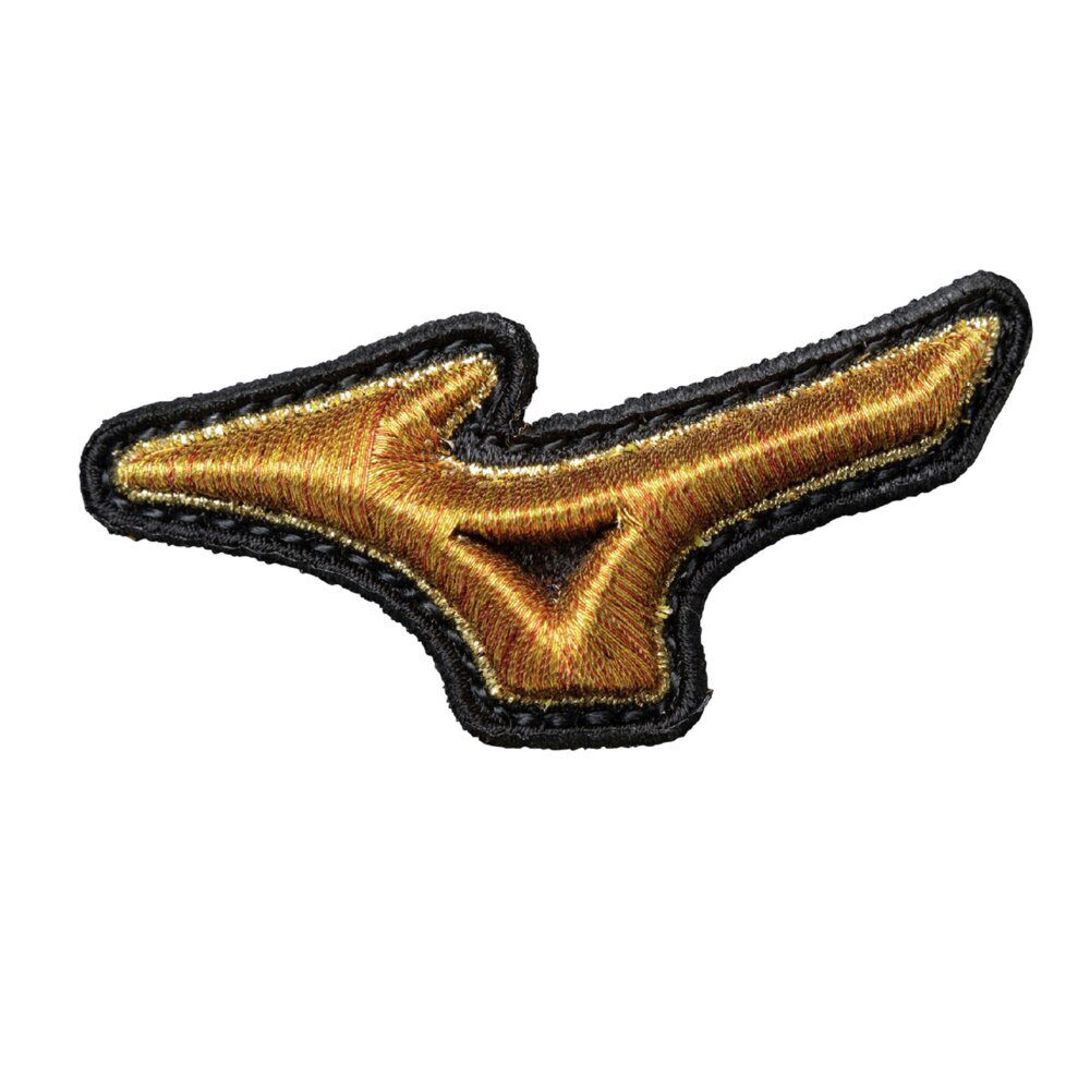 硬式用【ミズノプロ】25年春夏限定モデル【内野手用／サイズ10