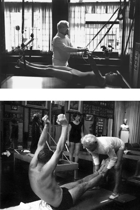 ピラティス マシン- スパインコレクター- マシンピラティス販売【全国