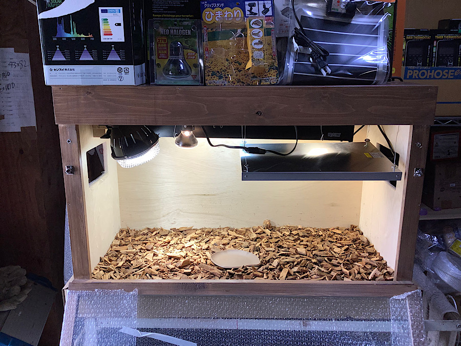 かめぢから飼育セットGEX仕様。 – 完全予約制 かめぢから