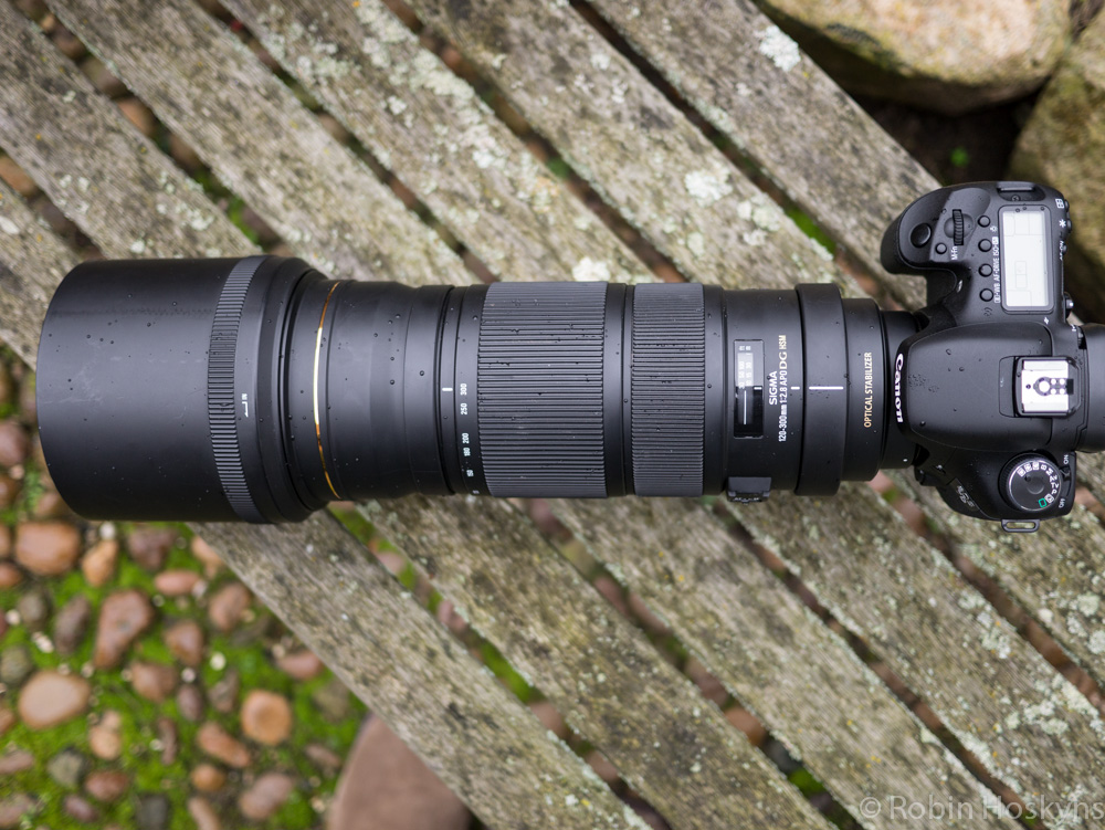 Sigma 120-300mm f/2.8 APO EX DG OS HSM Review | Kalahari Blog