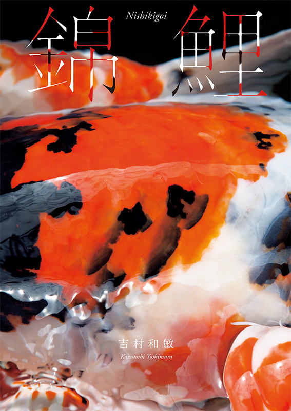 作品集 | 写真家 吉村和敏 OFFICIAL WEBSITE