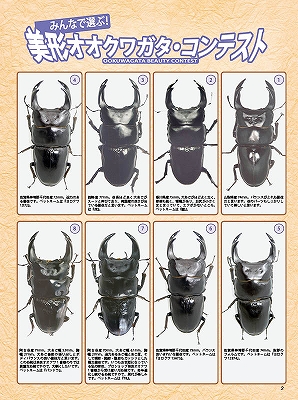 ビークワ47号（BE・KUWA） 日本のミヤマクワガタ大特集