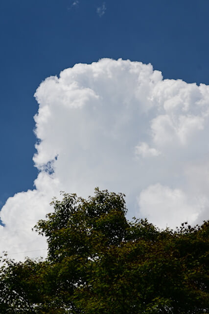 7Artisans 50mm f0.95 Xマウント版を、Nikon Z fcに装着してみた