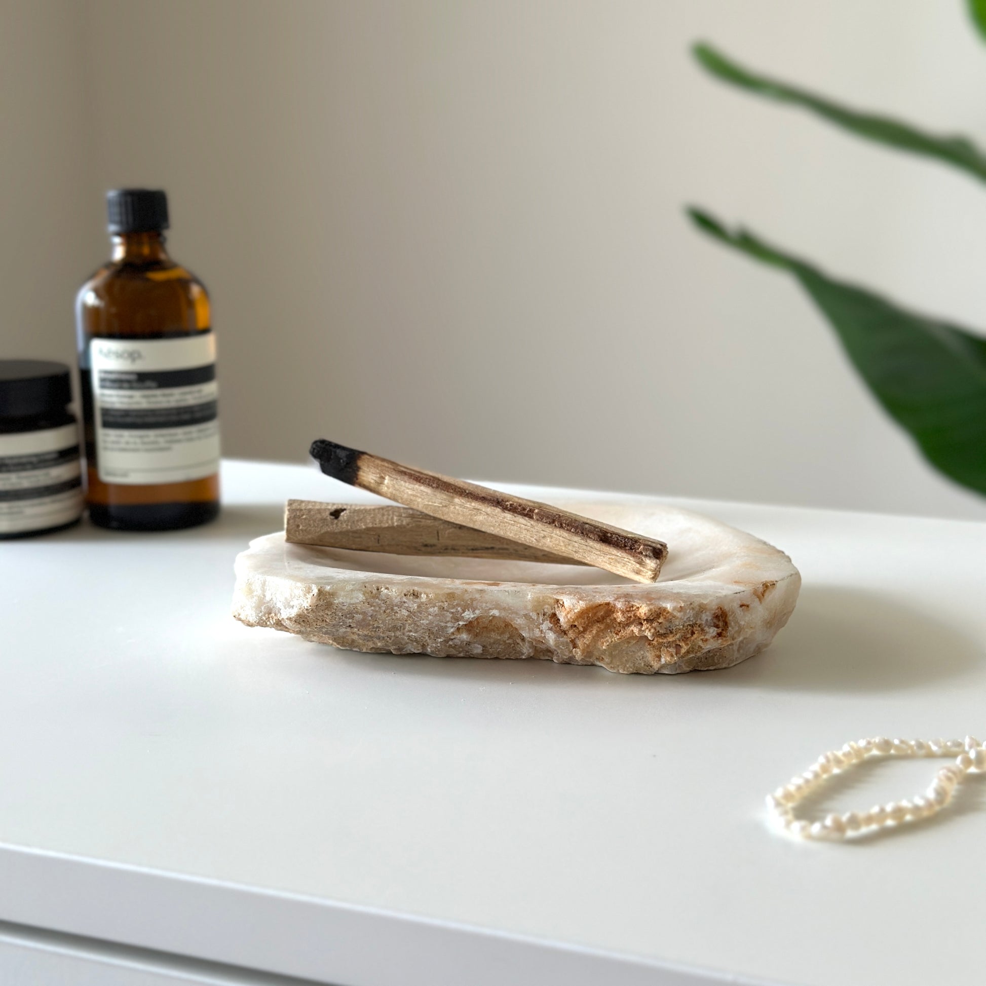 プレート｜cantikシリーズ｜オニキスプレート - territory