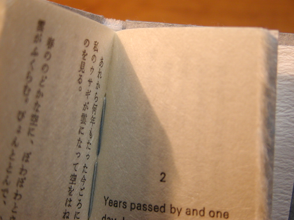 雲捕獲記録 Dancing on the Cloud」（赤井都の豆本）