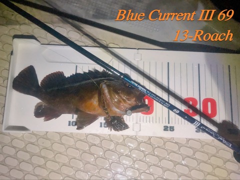 ロッド｜簡易インプレ】ブルーカレントIII 69 購入＆2度使用後の感想