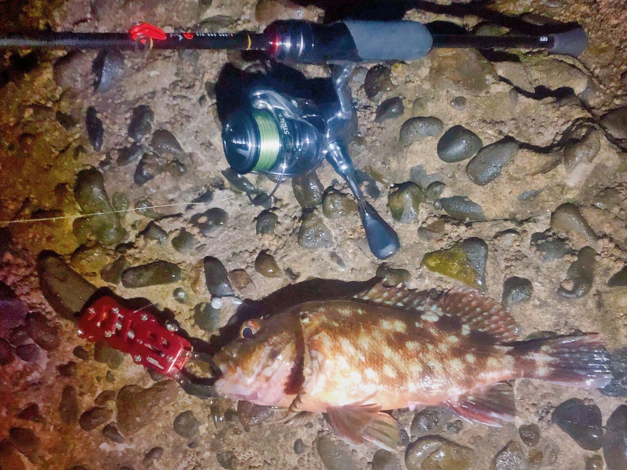 ロッド｜インプレ】19 月下美人 Air AGS 68L-T・R 〜 りんたこさん監修