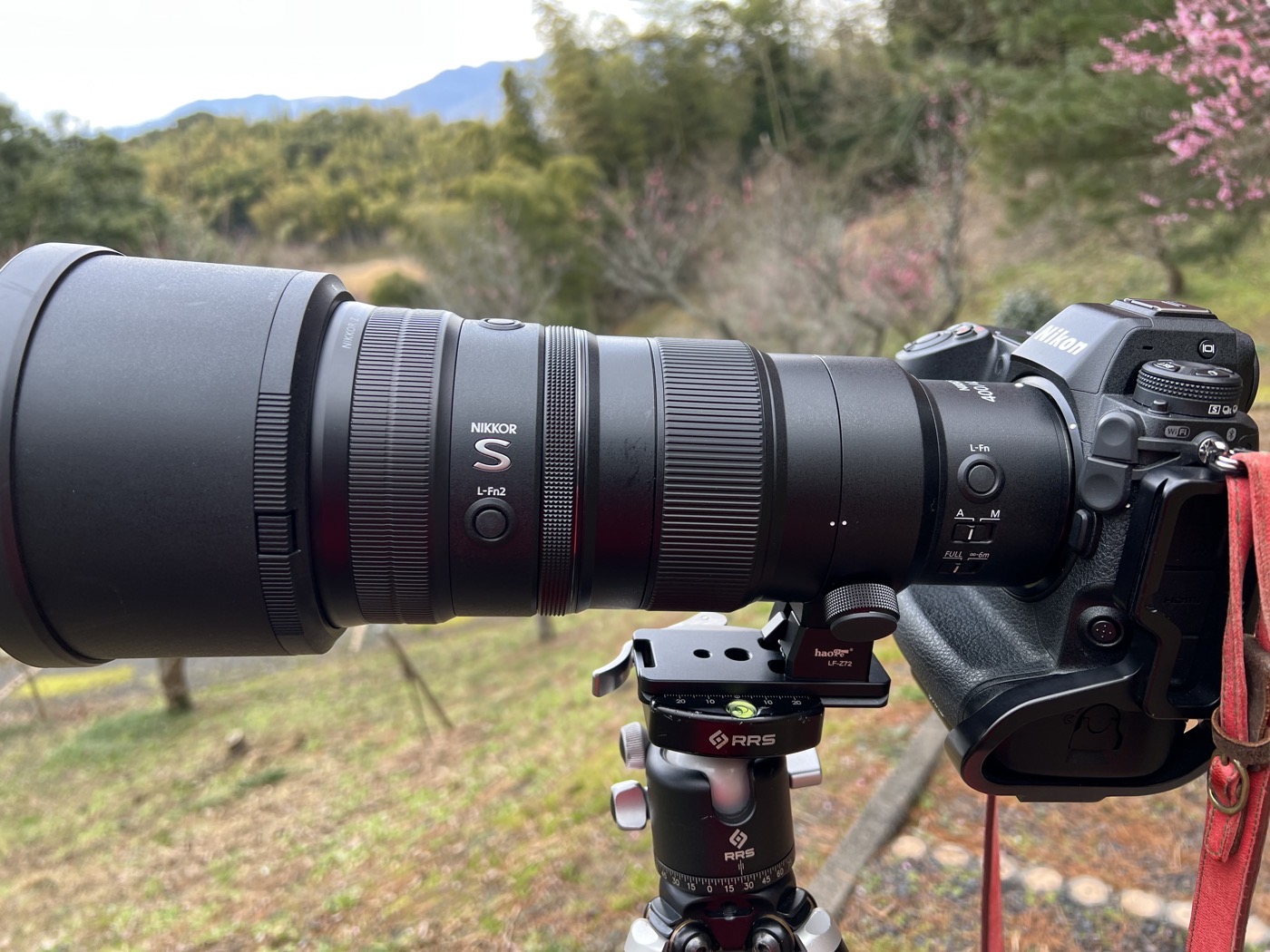 軽いのに高性能！！NIKKOR Z 400mm f/4.5 VR Sのレビュー | ログカメラ