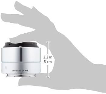 Amazon.com : Sigma 19mm F2.8 EX DN Art (Silver) for Sony SE