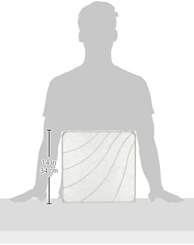 Amazon | 三菱電機 換気扇交換用フィルター 25cmファン用 2枚入 P