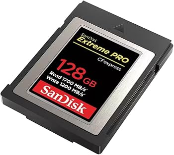 Amazon.com: SanDisk Extreme PRO 128GB CFexpress Type-B Memory Card