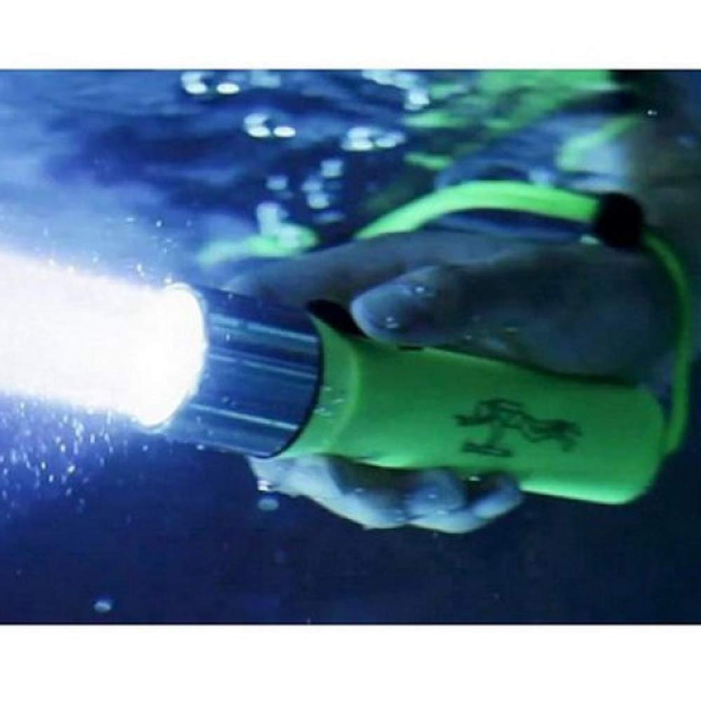 Amazon | Ledlenser(レッドレンザー) D14.2 LEDダイビングライト 防水