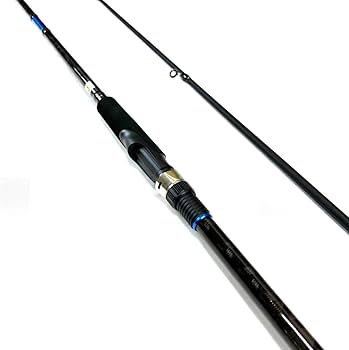 Amazon | RIZAS(ライザス)SHORE JIGGING 962 LSJ ライトショアジギング