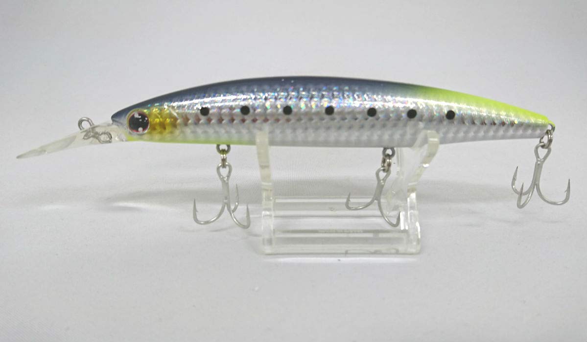 Amazon | ブンブンオリカラ ダイワ ショアラインシャイナーZセット