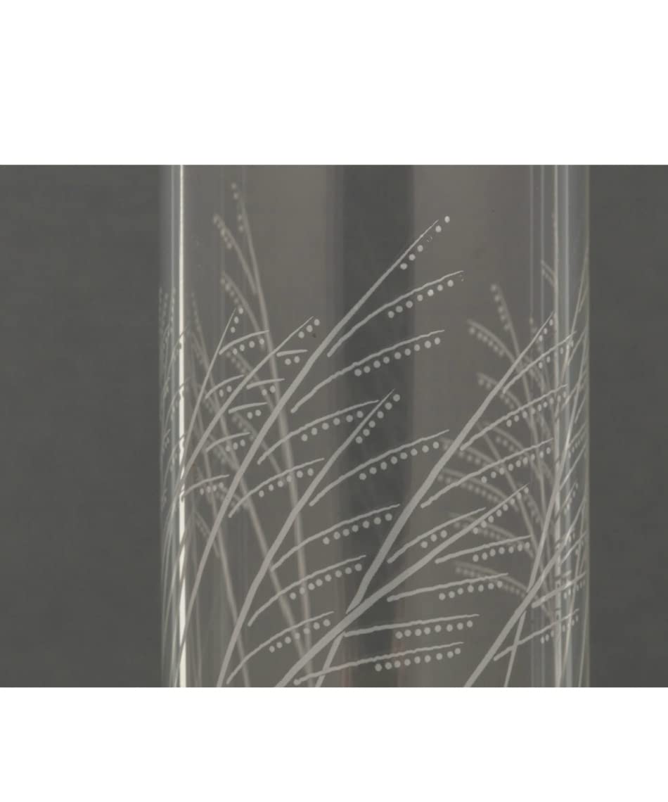 Amazon.co.jp: Snow Peak(スノーピーク) ノクターン 2021 EDITION