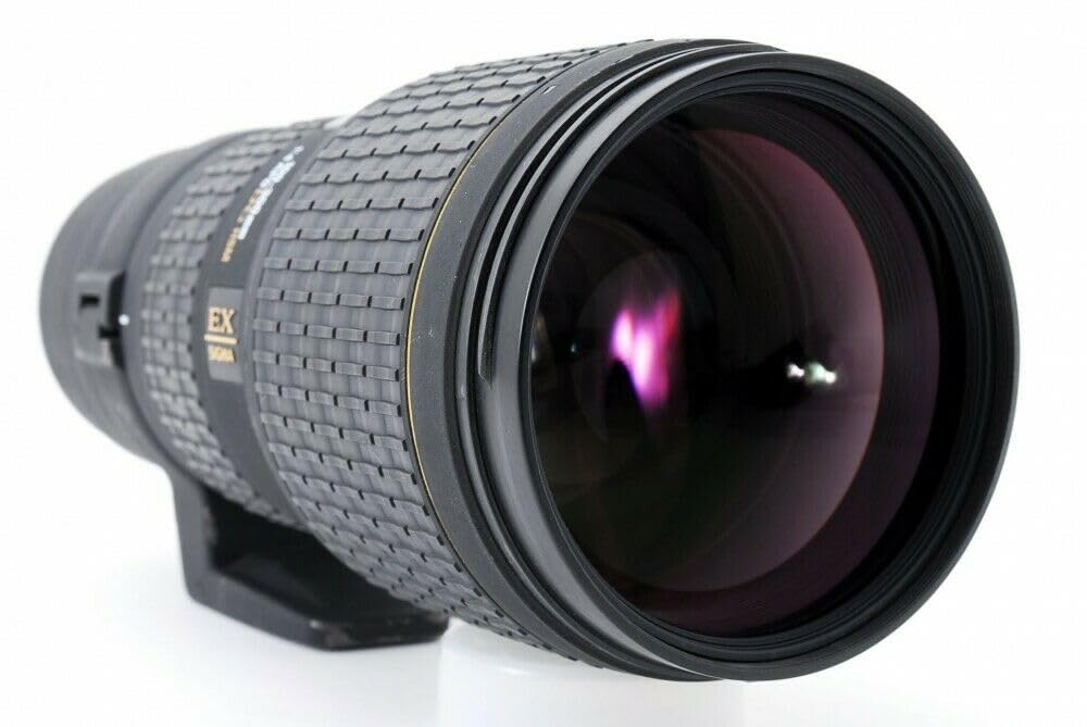 Amazon.co.jp: シグマ 100-300mm F4 APO EX DG HSM キヤノン用 : 家電