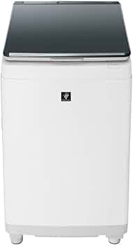 418gkKGpgrL._AC_UF350,