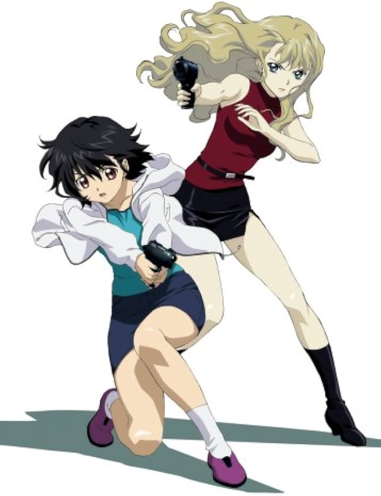 Amazon.co.jp: NOIR COLLECTER'S BOX[LIMITED EDITION] [DVD] : 桑島