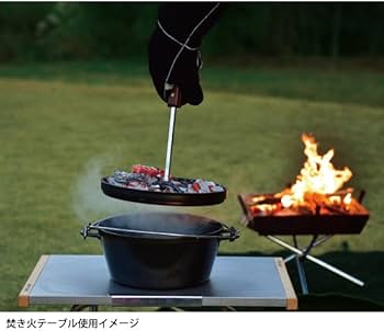 41pOnez1MqL._AC_UF350,