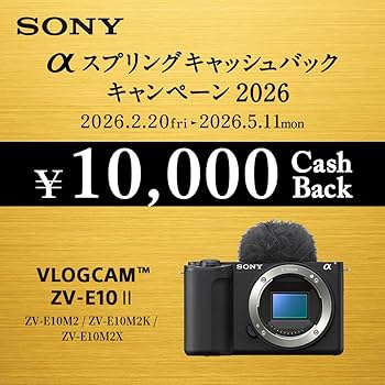 Amazon | SONY(ソニー) 【ZV-E10M2 と 急速充電チャージャー セット