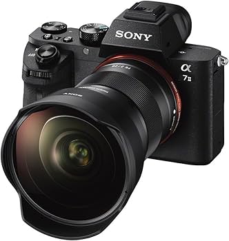 Amazon | SONY(ソニー) コンバーターレンズ フルサイズ フィッシュアイ