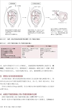 最新臨床検査学講座 免疫検査学/輸血・移植検査学 第2版 | 窪田 哲朗