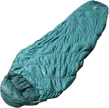 71N3rZFqaiL._AC_UF350,