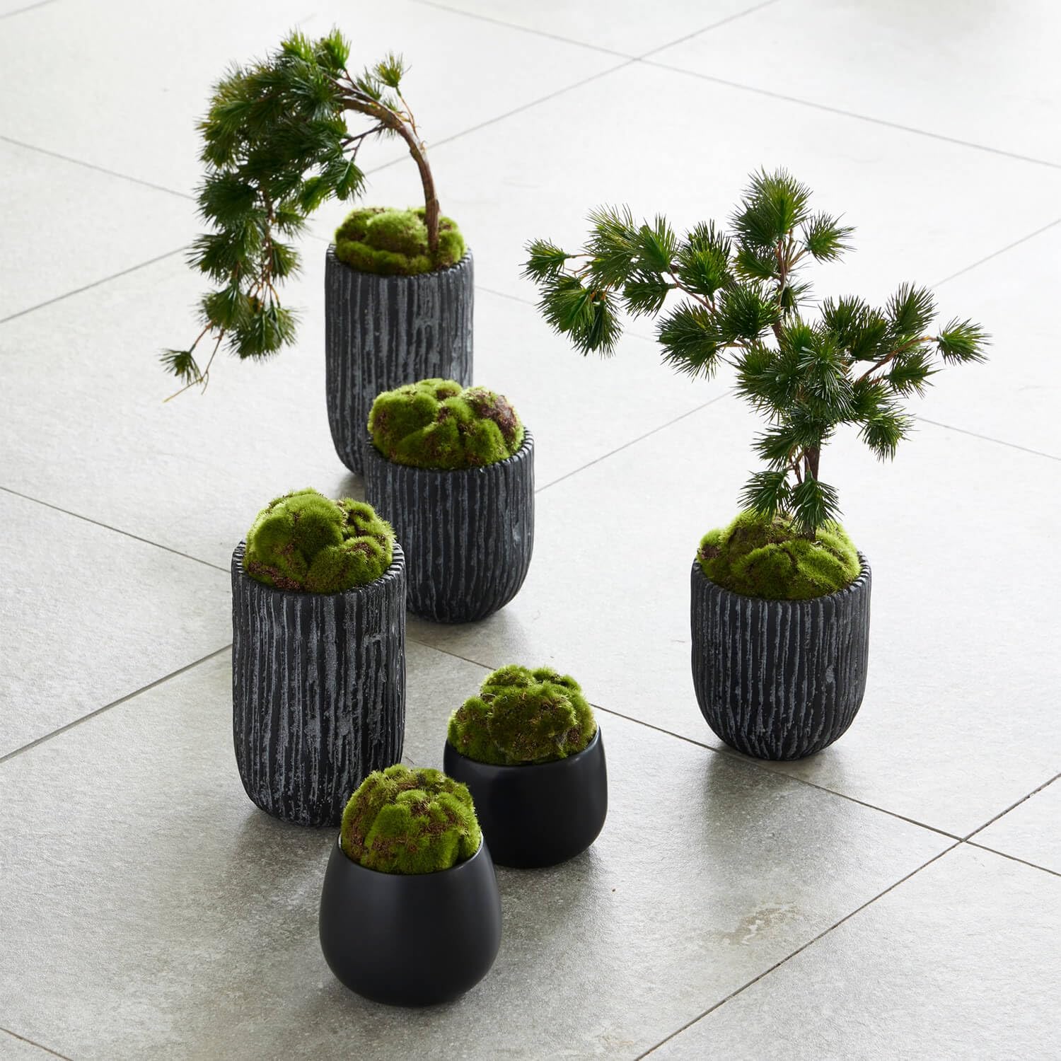 Amazon｜CUPBON 苔盆 しずく 盆栽 フェイクグリーン カップボン｜人工