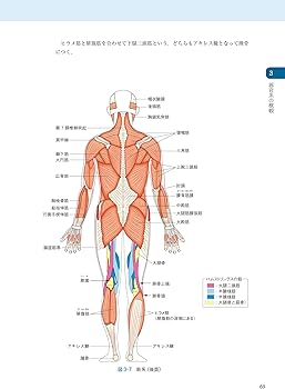 解剖生理学 | 高野 廣子 |本 | 通販 | Amazon