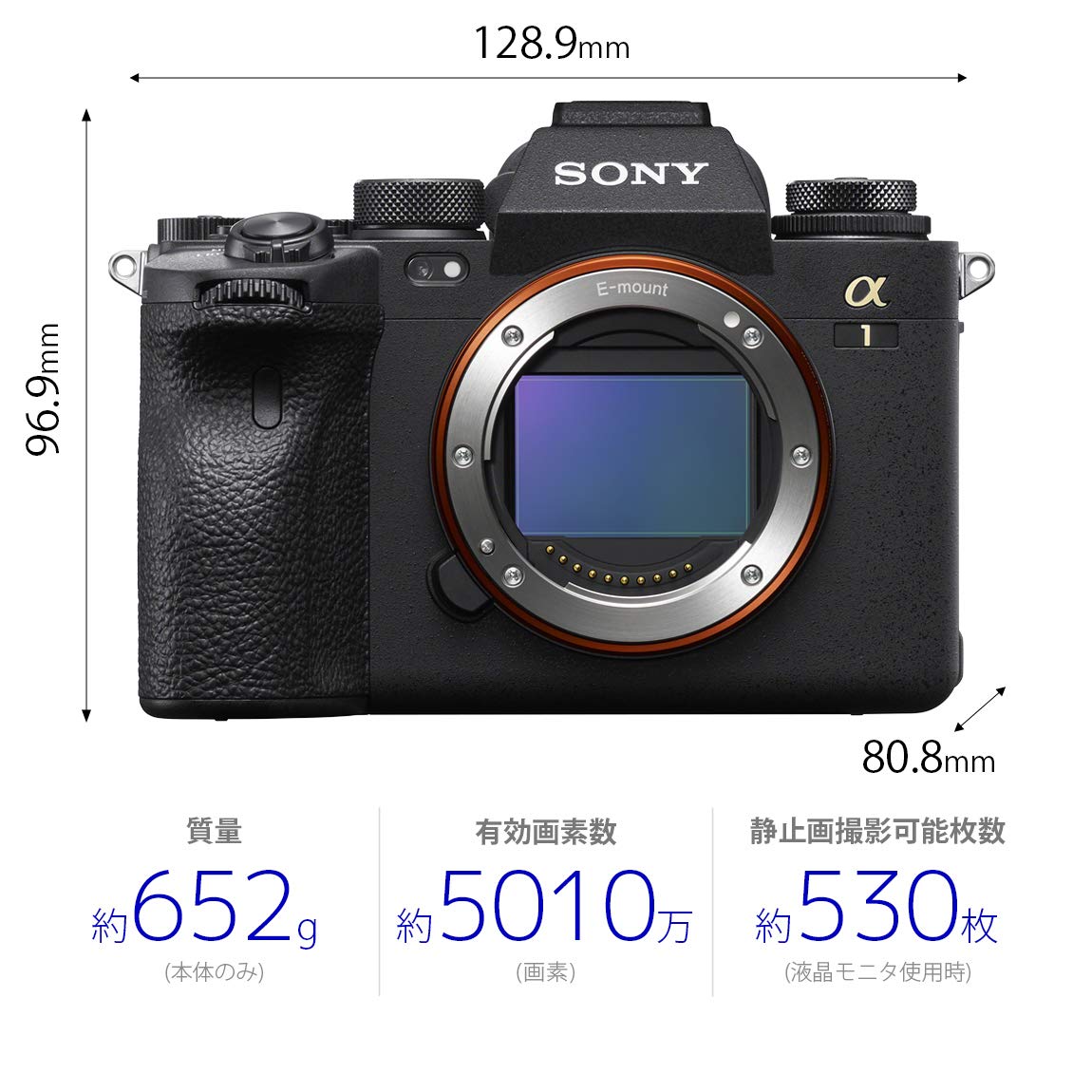 Amazon | SONY(ソニー) フルサイズミラーレスカメラ ILCE-1 black