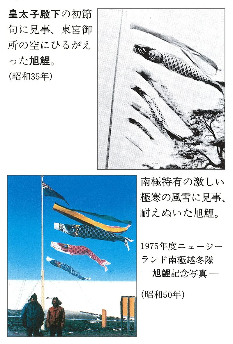 Amazon | こいのぼり 旭鯉 鯉のぼり ベランダ用 1.5m バルコニーセット