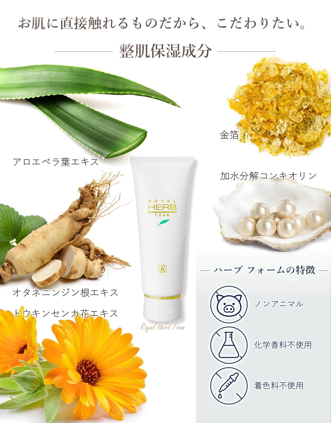 Amazon | ロイヤル化粧品 ロイヤルハーブ フォーム 120g 洗顔料 純