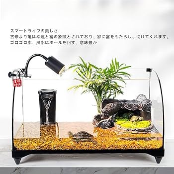 Amazon | 亀 水槽 大きい タートルタンク カメ用水槽 カメ生息地 亀