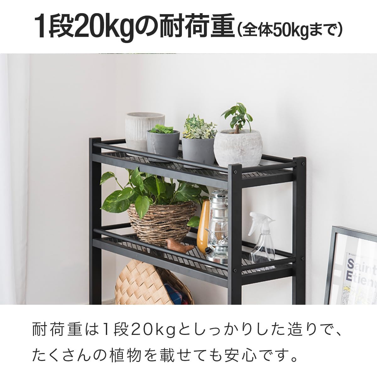 Amazon.co.jp: ottostyle.jp ガーデンラック フラワースタンド 室内用