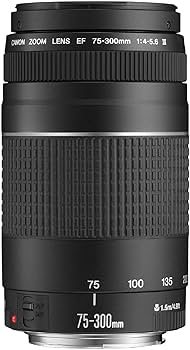 61zUlC+4wVL._AC_UF350,