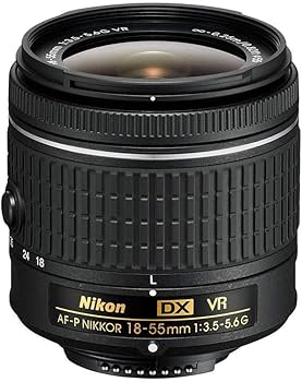 Amazon.com : Nikon D5600 DSLR Camera Kit w/AFP DX 18-55mm f/3.5