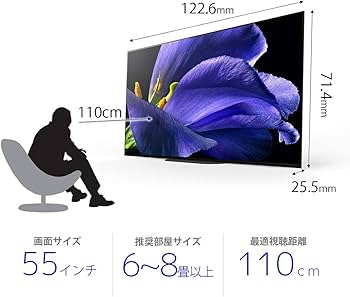 Amazon.co.jp: ソニー 55V型 有機EL テレビ ブラビア KJ-55A9G 4K
